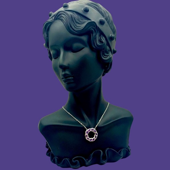 Amethyst & Sterling Silver Circle Necklace With Lobster Clasp &  2” ext - Picture 2 of 12